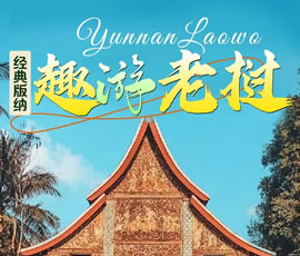 【趣游老撾 · 經(jīng)典版納】—昆明、普洱、西雙版納、磨丁、瑯勃拉邦四動(dòng)8日游